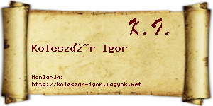 Koleszár Igor névjegykártya